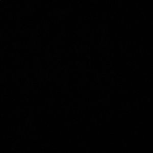 Meet your Posher, Kane